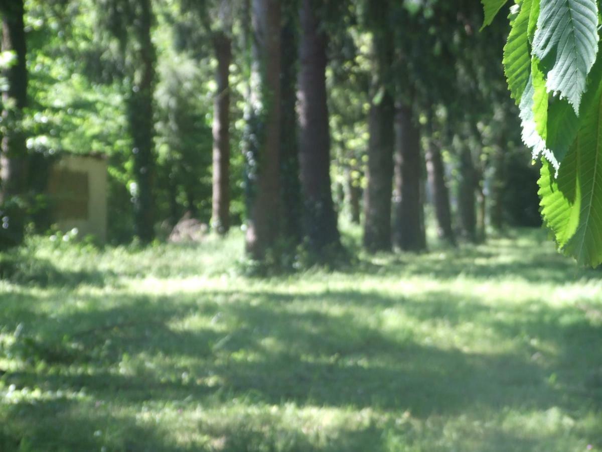 L'Auberge De La Foret Mervent Eksteriør billede
